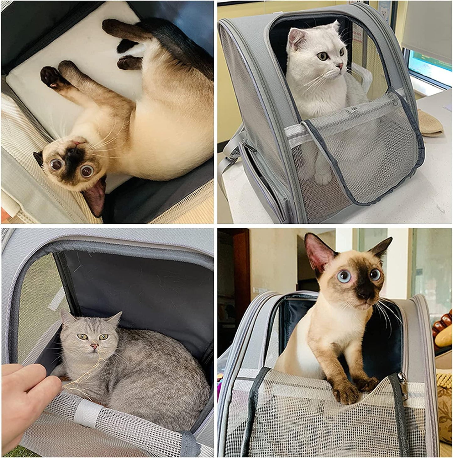 AH-DECOR Cat bag Innovative Traveler Bubble Backpack Pet Carriers for Cats and Dogs