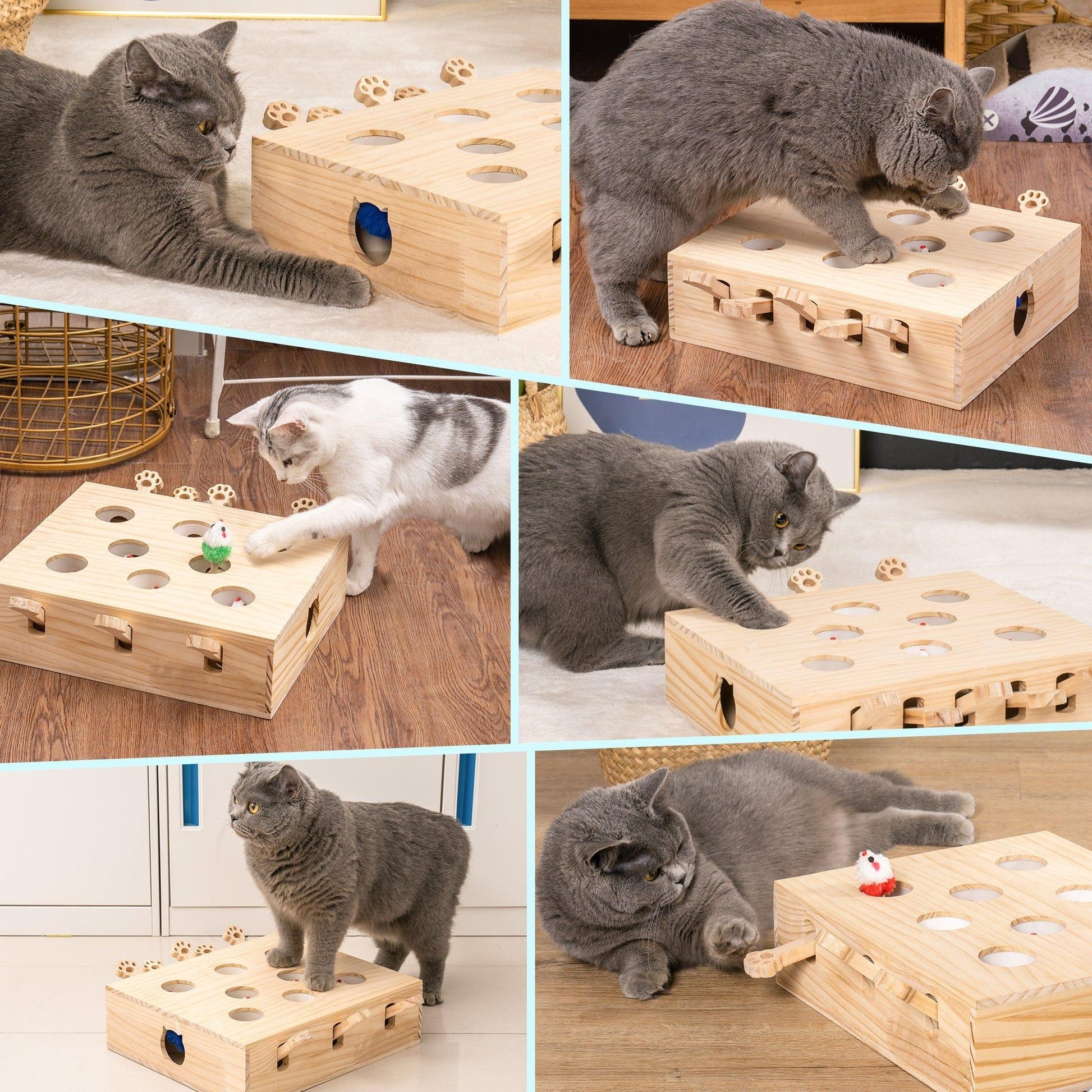 AH-DECOR cat supplies Cat Toy,Interactive Whack-a-mole Solid Wood Toys for Cats